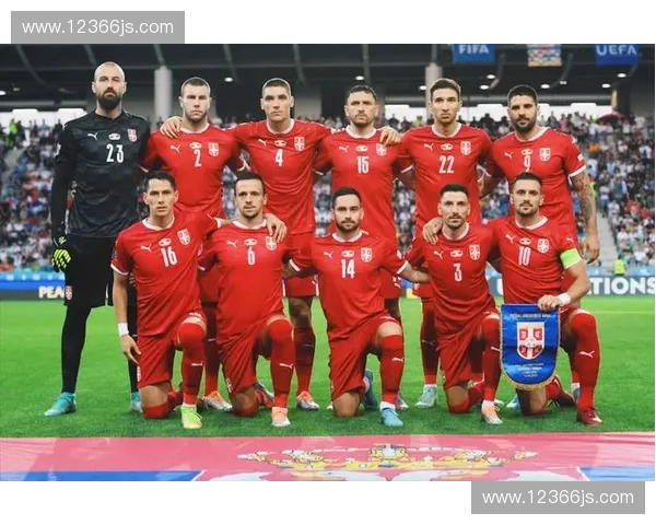 聚焦今年世界杯球队最终排名变化趋势与实力格局深度解析报告全面